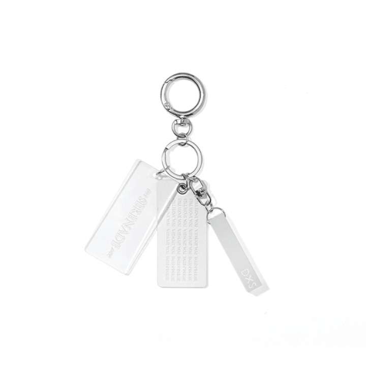 Seventeen - keyring 1