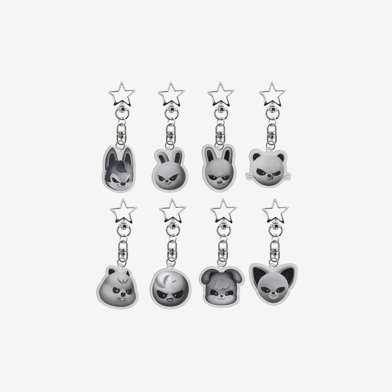 STRAY KIDS - evil skzoo acrylic keyring - skzoo everywhere all around the world 1