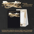 [Album]82MAJOR Trophy (Mini Album 4th) - product_vendor,