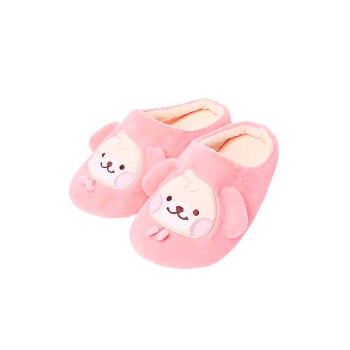 EXO - room shoes 1