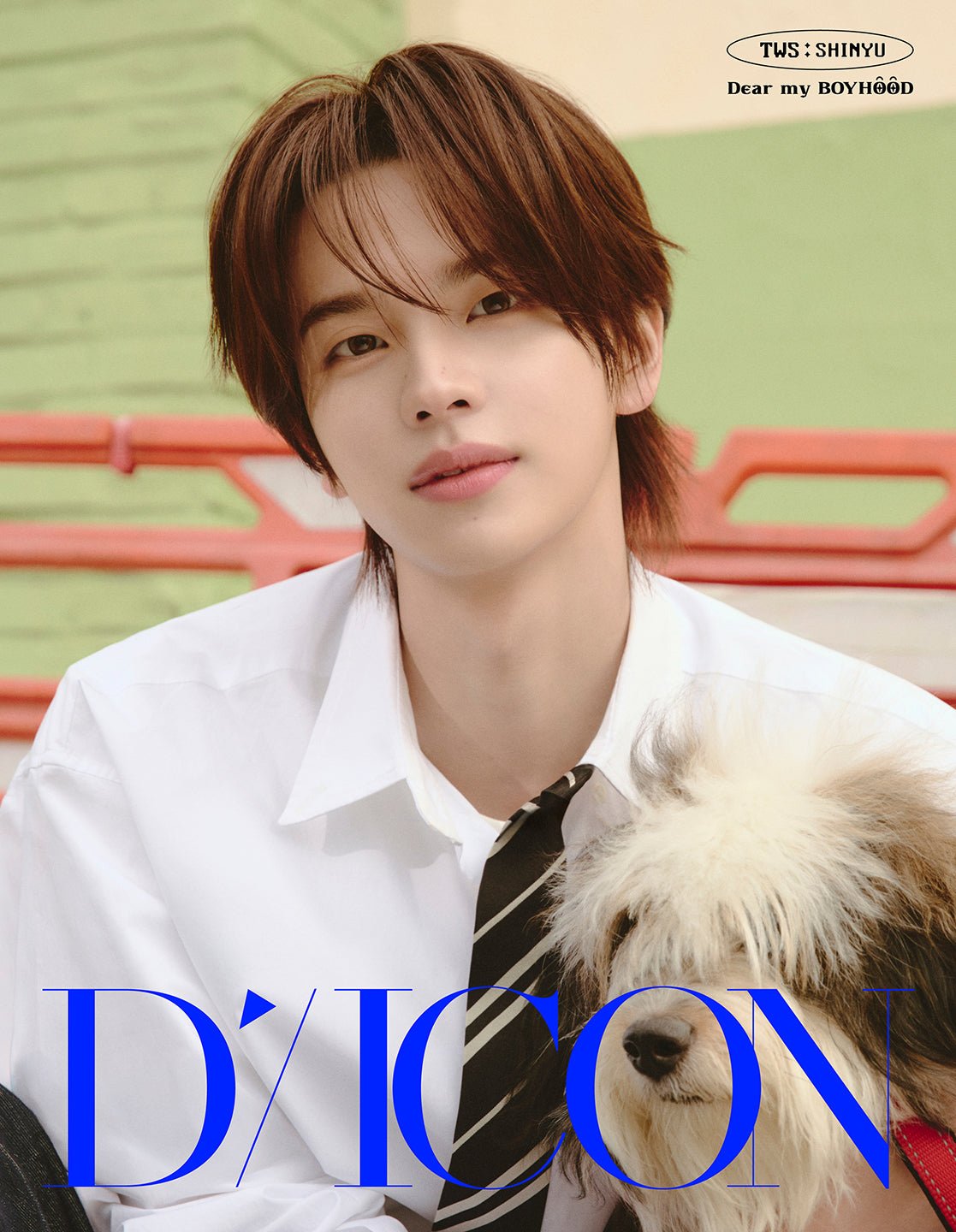 [Visual Goods][MAGAZINE] [POB] TWS - ESQUIRE DICON VOLUME N°34 (DEAR MY BOYHOOD / TINY WONDER STORIES) [A Ver.] [SET] - product_vendor,