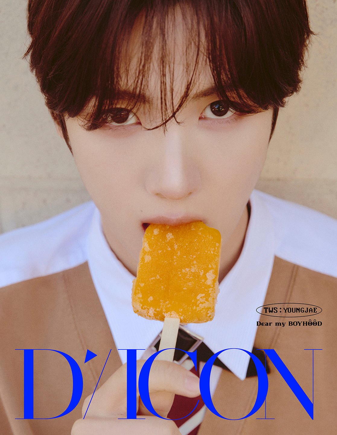[Visual Goods][MAGAZINE] [POB] TWS - ESQUIRE DICON VOLUME N°34 (DEAR MY BOYHOOD / TINY WONDER STORIES) [A Ver.] [SET] - product_vendor,