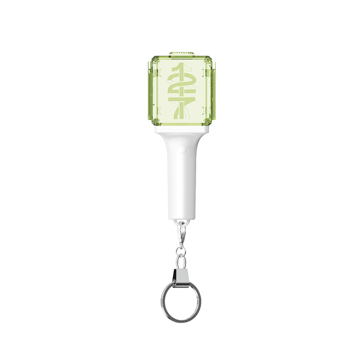 Nct127 - mini fanlight keyring 1