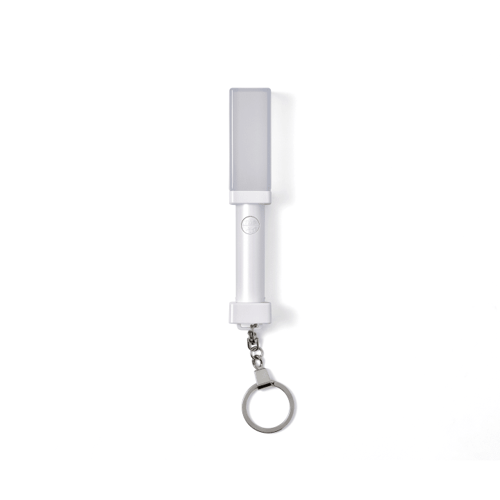 Tws - official light stick keyring 1